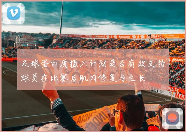 足球蛋白质摄入计划是否有效支持球员在比赛后肌肉修复与生长