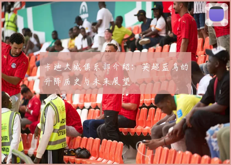 卡迪夫城俱乐部介绍：英超蓝鸟的升降历史与未来展望