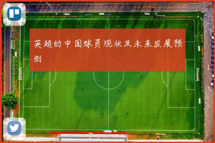 英超的中国球员现状及未来发展预测