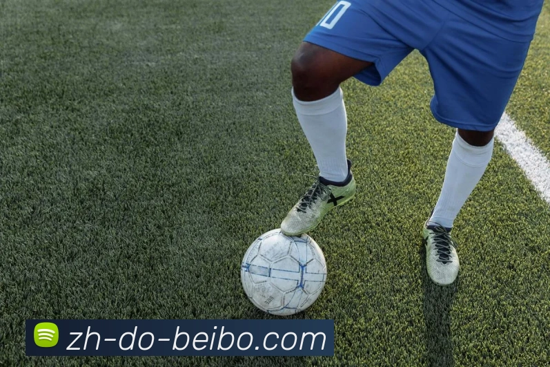 BB体育下载发展历程