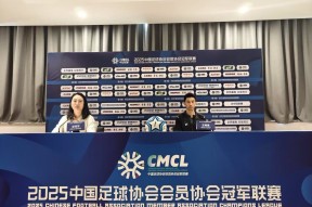 贝博体育官网-英超球队球衣使用场次统计及替换规则